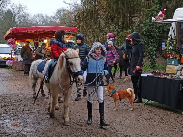 Marché de Noël Kolbsheim 2022 (18)