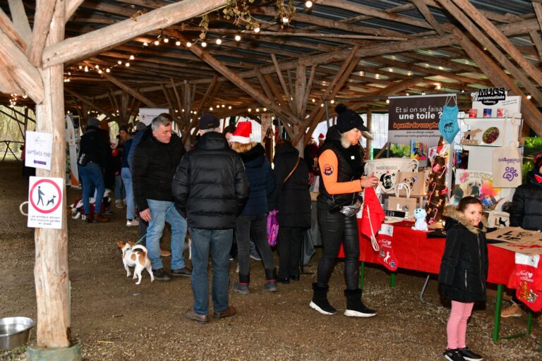 Marché de Noël Kolbsheim 2022 (2)